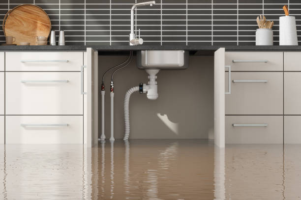 Best Water damage restoration near me  in Pine Knoll Shores, NC
