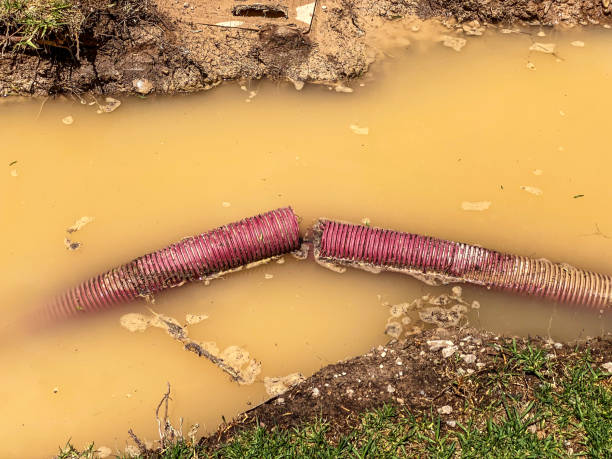 Local water damage restoration in NC