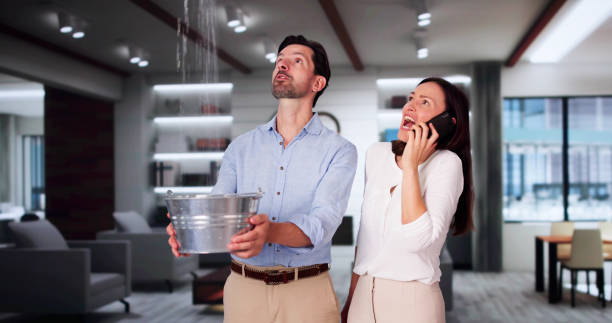 Best Flooded house restoration  in Pine Knoll Shores, NC
